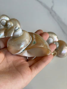 Anillos para servilletas Ocean Glamour Seashell | La declaración costera definitiva - Product Image 4