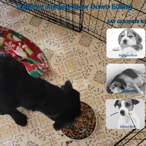 Alfombrilla de silicona para lamer para mascotas, almohadilla de comedero interactivo, ayuda a la digestión, alivia la ansiedad, material seguro y duradero antideslizante - Product Image 5