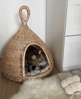 Lit pour animaux de compagnie en rotin tissé à la main, respectueux de l'environnement, nid en osier naturel pour chat et chien, maison pour animaux de compagnie confortable et durable