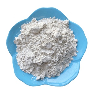 Diatomite per uso <span class=keywords><strong>alimentare</strong></span> <span class=keywords><strong>terra</strong></span> <span class=keywords><strong>diatomacea</strong></span> - Product Image 1