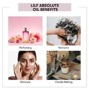 Huile absolue de lys biologique pure, huile essentielle pour hydrater et éclaircir, qualité thérapeutique et cosmétique, fourniture OEM - Product Image 4