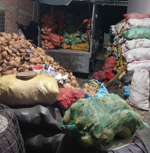 Cáscara de Coco Procesada para Uso Industrial, Producción Artesanal y Procesamiento de Carbón - Product Image 1