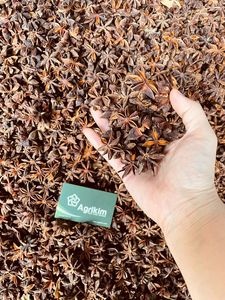 Venta al por mayor de calidad superior especias secas anís estrellado semillas de anís estrellado de Vietnam + 84 865216698 - Product Image 6