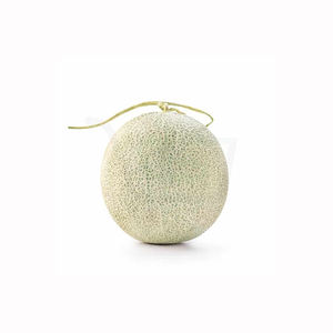 Melón musk fresco y jugoso, fruta tropical aromática madura, calidad premium, suministro al por mayor a granel, mercado de exportación - Product Image 4