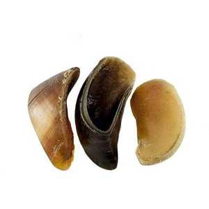 TIMELESS CRAFT - Cuerno de Búfalo Natural para Masticar, Alimento para Perros Hecho a Mano, Alto en Proteínas, Vitaminas y Minerales, Ecológico - Product Image 2