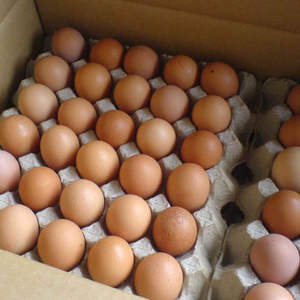 Huevos de gallina frescos a la venta producto a precio bajo - Product Image 2