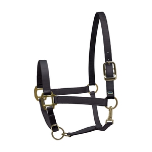 Top qualité, prix de gros, licou de styliste en cuir de cheval, vente disponible chez - Product Image 1