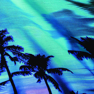 ชุดชายหาดและกางเกงขาสั้นฮาวายสำหรับผู้ชายชุดชายหาดทำจากผ้าระบายอากาศได้ดี - Product Image 5