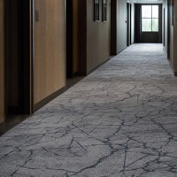 Moquette Axminster en polypropylène PP, tissage basketweave, pour couloir, hall, bureau, moquette murale commerciale