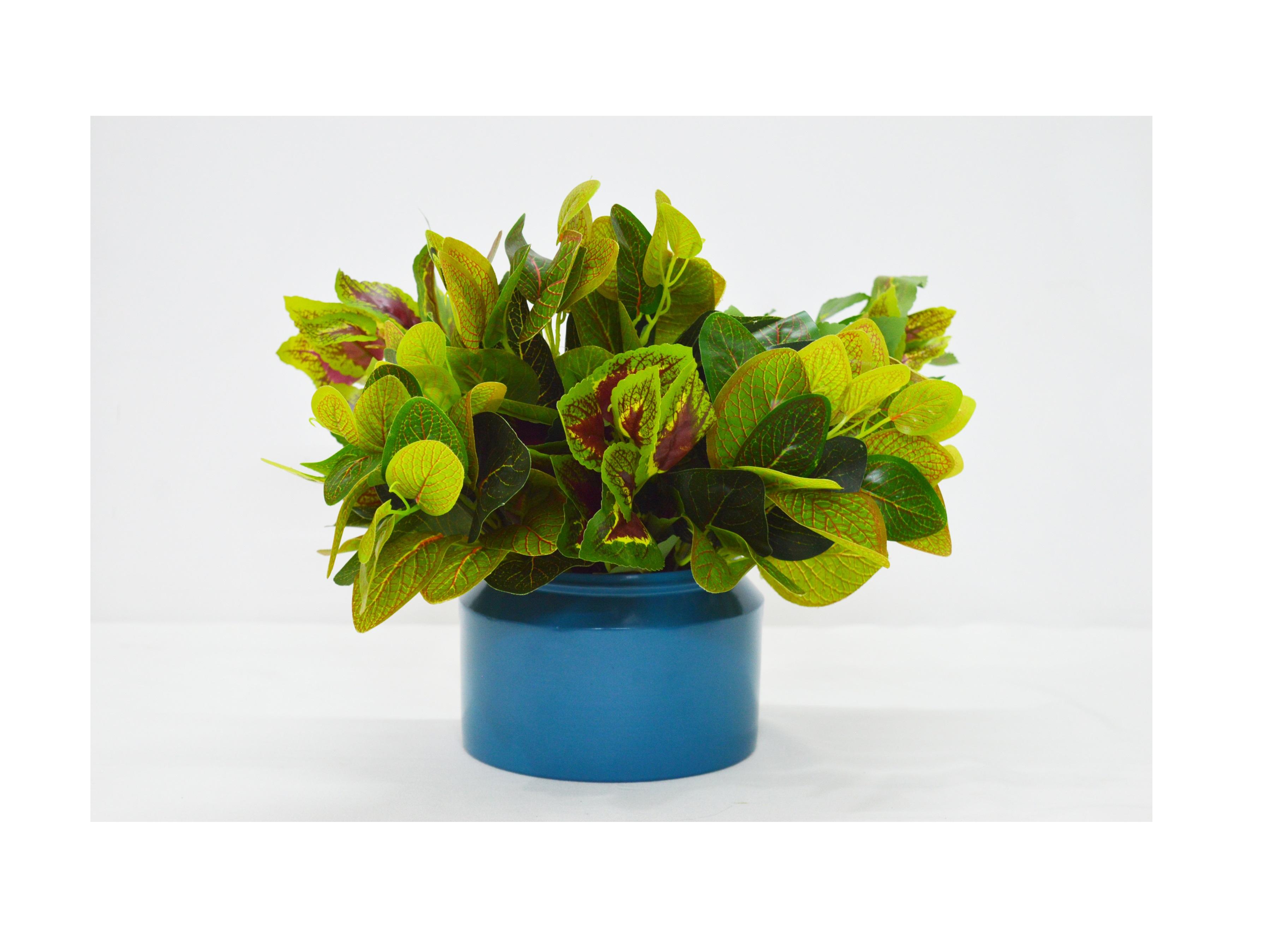 Couleur personnalisée