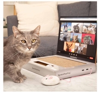 Scratch Pad Pro Laptop Scratcher Cat Toy Juguete de computadora único con pegatinas