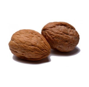 Organic <b>Walnuts</b> Bulk Supply High Quality <b>Shelled</b> Nuts for Wholesale and Export - Product Image 1