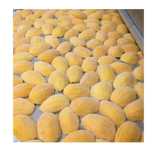 CUBES DE MANGUE CONGELÉS TOP GRADE DU VIETNAM PARFAIT POUR LA GARNITURE DE SMOOTHIE JUS DE BOULANGERIE IQF TRAITÉ BON PRIX - Product Image 5