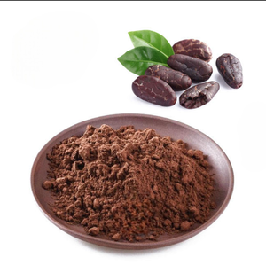 Proveedor de Cacao en Polvo Natural Crudo a Granel para Chocolate, Panadería, Bebidas y Procesamiento de Alimentos - Product Image 4