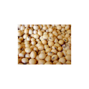 Semillas de soja amarillas sin OGM de exportación al por mayor/soja a bajo precio - Product Image 1