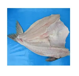 도매 냉동 basa 물고기-베트남 100% 신선한 basa 물고기 합리적인 가격 판매