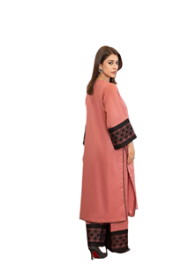 Shalwar Kameez pour femmes uniques et gracieuses | Vêtements de fête pakistanais formels | Long design ethnique pour l'Aïd et les événements spéciaux - Product Image 4