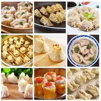 Machine à boulettes multifonction Wonton Siomai Dimsum Gyoza à grande vitesse à une rangée pour restaurant