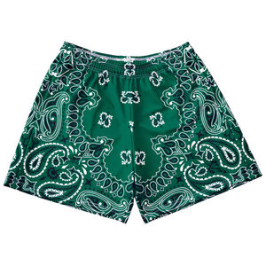 Logo personnalisé Sublimation Basketball Short de sport d'été pour homme pour Gym Running Fitness Workouts Solid Track Jogger Mesh Shorts - Product Image 3