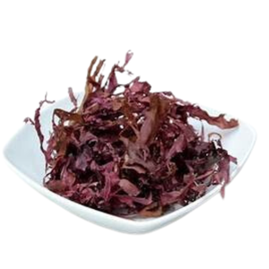 มอสทะเล/มอสสีทองธรรมชาติจากทะเลมอส irishmoss เวียดนาม/เซเรนาราคาขายส่งคุณภาพสูง - Product Image 1