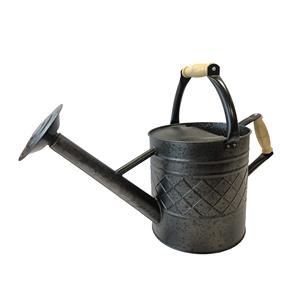 Arrosoir en métal d'aspect luxe moderne pour plantes, arrosoir de jardin pour enfants, arrosoir de fleurs pour jardinage domestique - Product Image 6