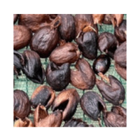 Thé Cascara, café Arabica cerise Catimor vietnamien naturel, avec beauté et richesse, nouvelle récolte 2023-2024