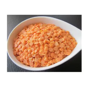 Wholesale Price Supplier of Organic Canadian Red Lentils / Split Red Lentils Bulk Stock With Fast Shipping