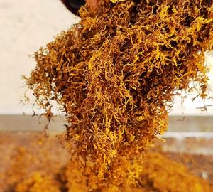 Meilleur prix Meilleure alternative aux herbes à rouler Herbes à rouler naturelles aromatisées à rouler Roulez vos propres herbes indiennes au meilleur prix - Product Image 4