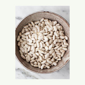 Vente en gros de haricots blancs en sucre biologique naturel Haricots blancs séchés en vrac de haute qualité - Product Image 4