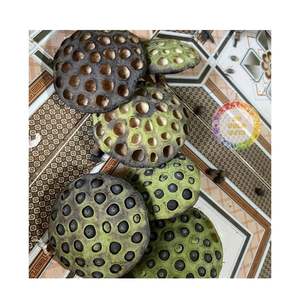 Graines de lotus noires en gros, graines de lotus noires séchées de qualité supérieure avec/sans peau au Vietnam - Product Image 6