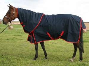 Customized Professional Waterproof Horse <b>Rugs</b> for Winter Durable Polyester Fabric Comfortable Cotton <b>Padding</b> Indoor-Outdoor Use - Product Image 6