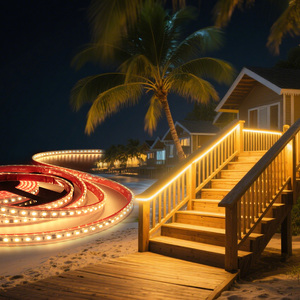 Tira de <span class=keywords><strong>LED</strong></span> 2835 para Exteriores OEM, Impermeable IP67, 220V/110V, 120 <span class=keywords><strong>LED</strong></span>/M, Alto Brillo, Sin Parpadeo, Regulable, Continua, 50m de Longitud - Product Image 1