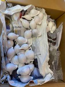 Conchas de cauri pulidas blancas Conchas de mar al por mayor para arte y adorno de bricolaje - Product Image 4