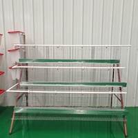 Nouveau système de cages automatiques robustes pour poulets, cages à batterie galvanisées pour poules pondeuses, pour élevages avicoles à grande échelle