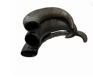 Handmade Natural Sheep Chewing Horn for <b>Dogs</b> Wholesale Water Sheep Chewing Horn for <b>Dogs</b> with High Proteins - Product Image 4