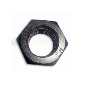 ASTM A194 2H Hex-Schwerkerne PTFE XYLAN BLUE - Product Image 6