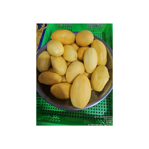 Trozos de mango congelados naturalmente dulces de Vietnam procesados bajo la moderna tecnología IQF perfectos para helados de jugo - Product Image 1