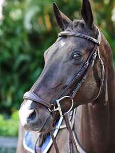 Anatomic Drop Noseband Brida Multifuncional Estilo occidental Caballo Halter Brida Mate Acabado Cuero Suministros ecuestres - Product Image 5