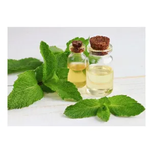 New Arrival Brand New Products Menthol Oil Pure Natural Essential Oil at Competitive Price