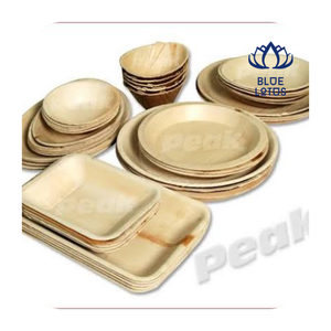 [DISPONIBLE] |   Assiettes jetables compostables biodégradables en feuilles de palmier de 10 pouces, lot de 50, pour événements en plein air, camping, Vietnam - Product Image 1