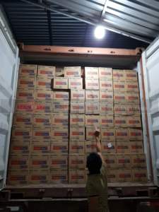 ชุดแปรงสีฟันด้ามพลาสติก12X12แผ่นนุ่มพิเศษสำหรับใช้ในบ้านผู้ใหญ่ส่งออกจากเวียดนาม - Product Image 6