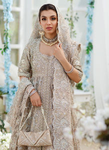 Robes de mariée pakistanaises élégantes et modernes de grande taille, tenue de cérémonie, broderie à lacets en cristal, décorations florales en mousseline de soie - Product Image 5