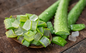 ว่านหางจระเข้เจลลี่เวียดนาม - Product Image 6