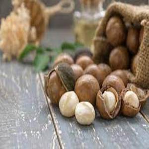 Nueces de Macadamia Orgánicas de Alta Calidad al por Mayor de Fábrica, Secas, con Sabor a Leche Dulce, Deliciosa Combinación de Frutas y Nueces - Product Image 4