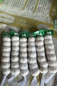 Ajo Fresco Pelado de Shandong, Sinofarm, Almacenamiento en Frío, Nueva Temporada, Venta al por Mayor de Shandong, China - Product Image 6