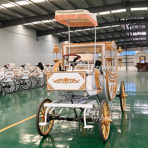 Chariot royal élégant de haute qualité, chariot royal exclusif pour les mariages de princesses, chariot à chevaux électrique - Product Image 1