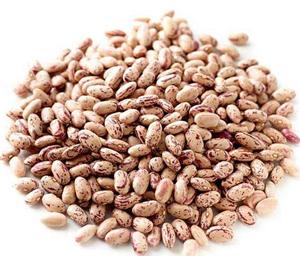 Frijoles Pintos Secos, Sin GMO, con Motas Claras, 25 kg, 2 Años de Duración, Origen UE, Venta al Por Mayor de Fábrica, OEM, ODM - Product Image 4