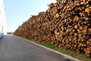Granulés de bois de haute qualité avec un prix compétitif à vendre en provenance de l'UE, prêts pour la livraison dans le monde entier - Product Image 5