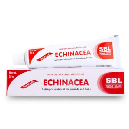 Echinacea Ointment Natural Healing for Skin Protection