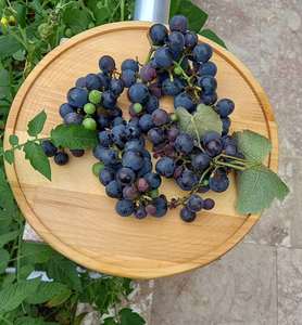 Handmade Wood Round <b>Tray</b>,Kitchen <b>Tray</b>, Key <b>Tray</b>, For Perfume and <b>Jewelry</b>, Decorative Wooden Round Board, 11 inc - Product Image 2